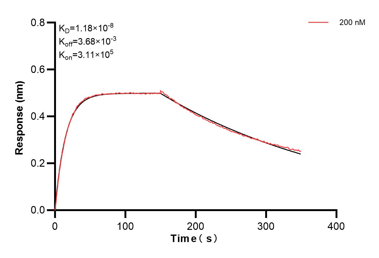 Affinity and Kinetic Characterization of 83621-4-PBS