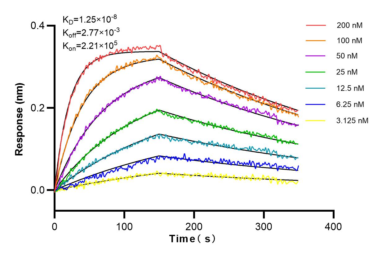 Affinity and Kinetic Characterization of 83621-6-RR