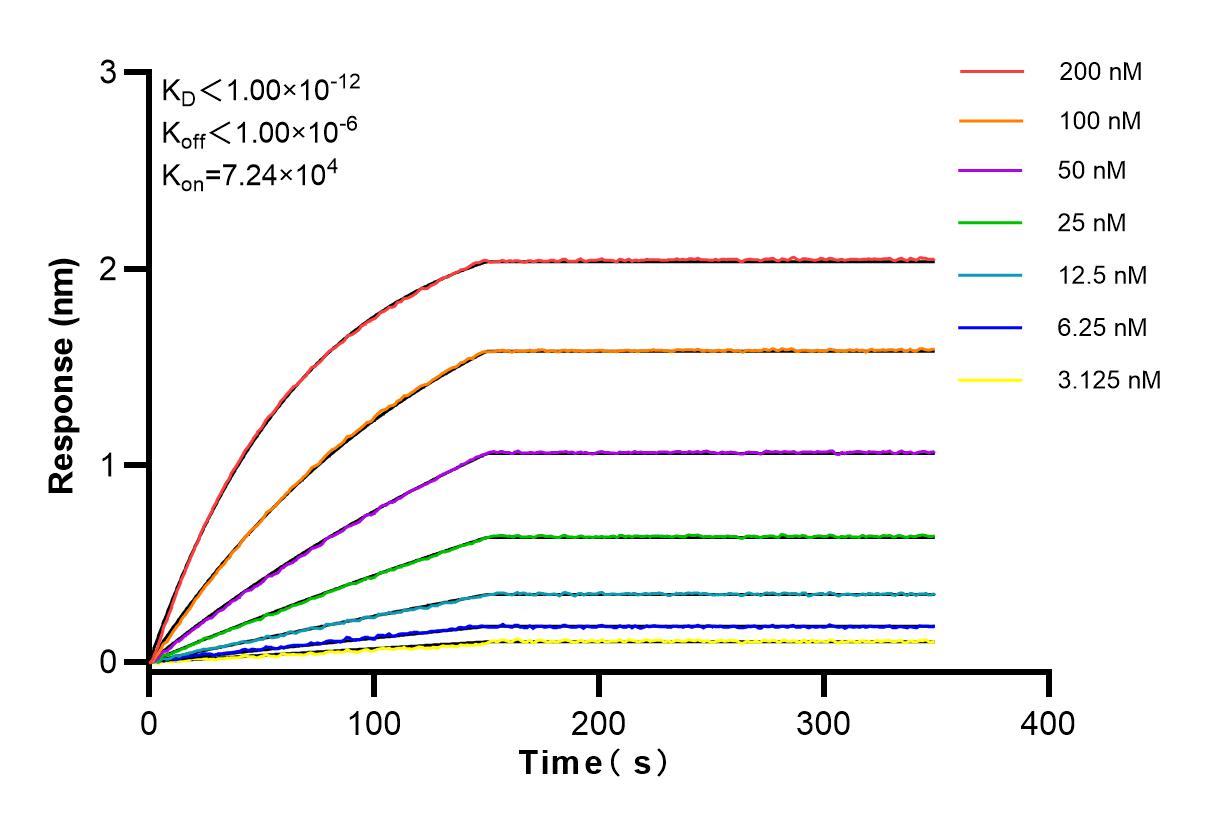 Affinity and Kinetic Characterization of 83624-1-RR