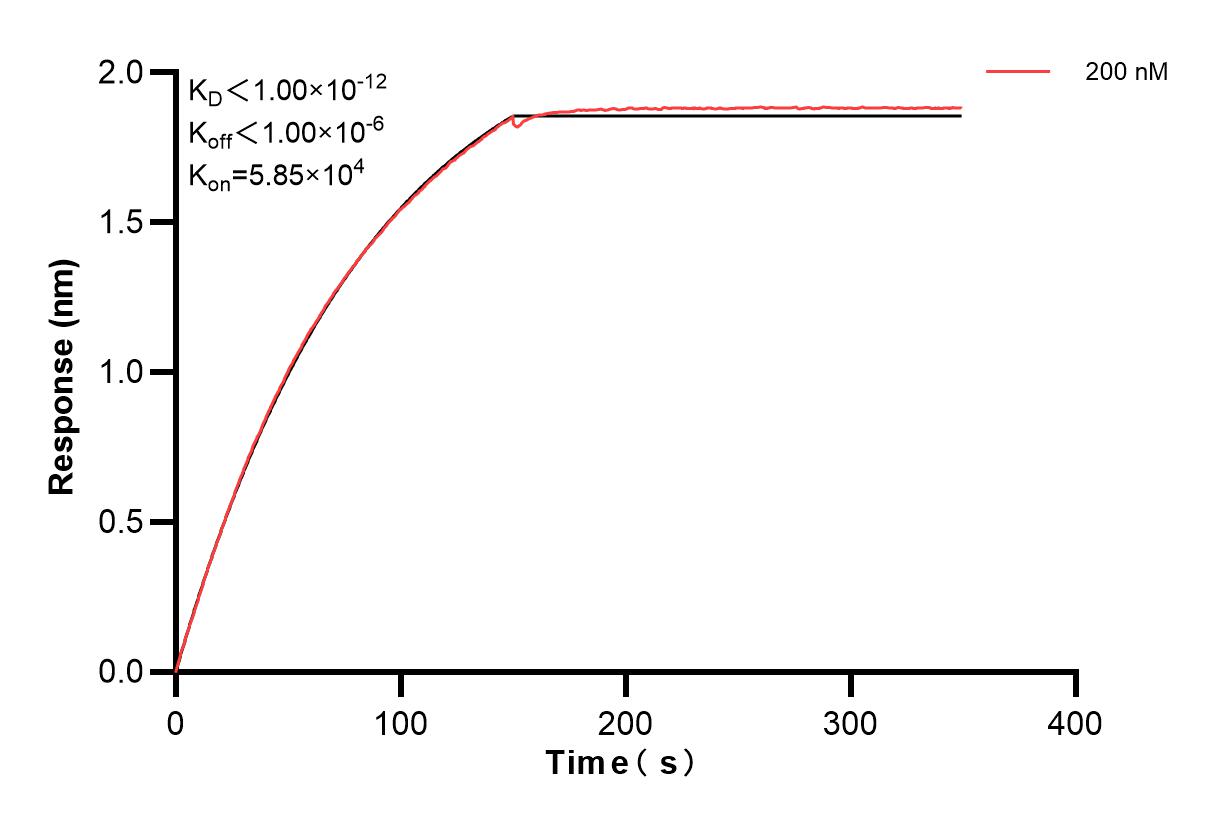 Affinity and Kinetic Characterization of 83624-3-PBS