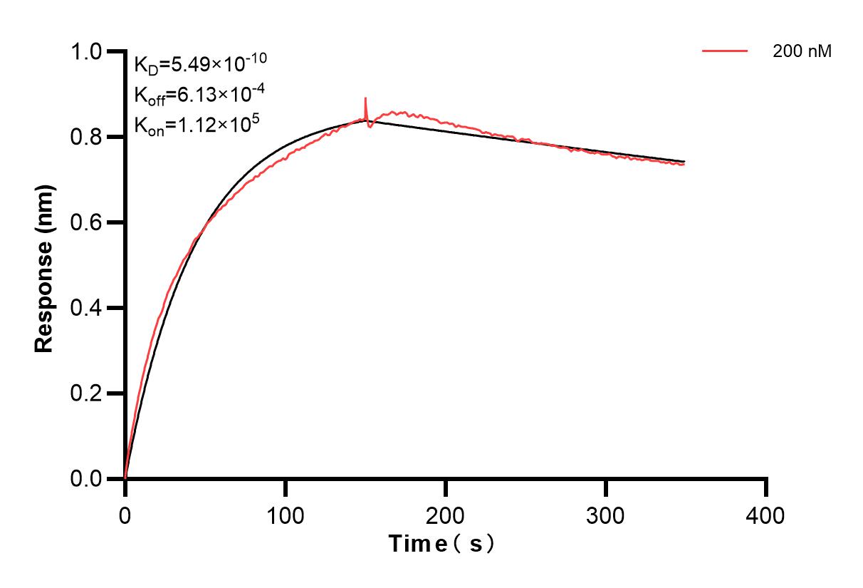 Affinity and Kinetic Characterization of 83635-1-PBS