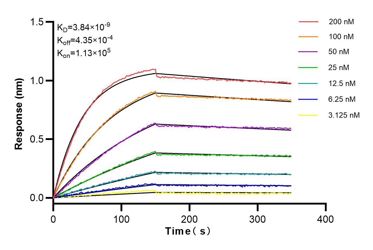 Affinity and Kinetic Characterization of 83635-5-RR