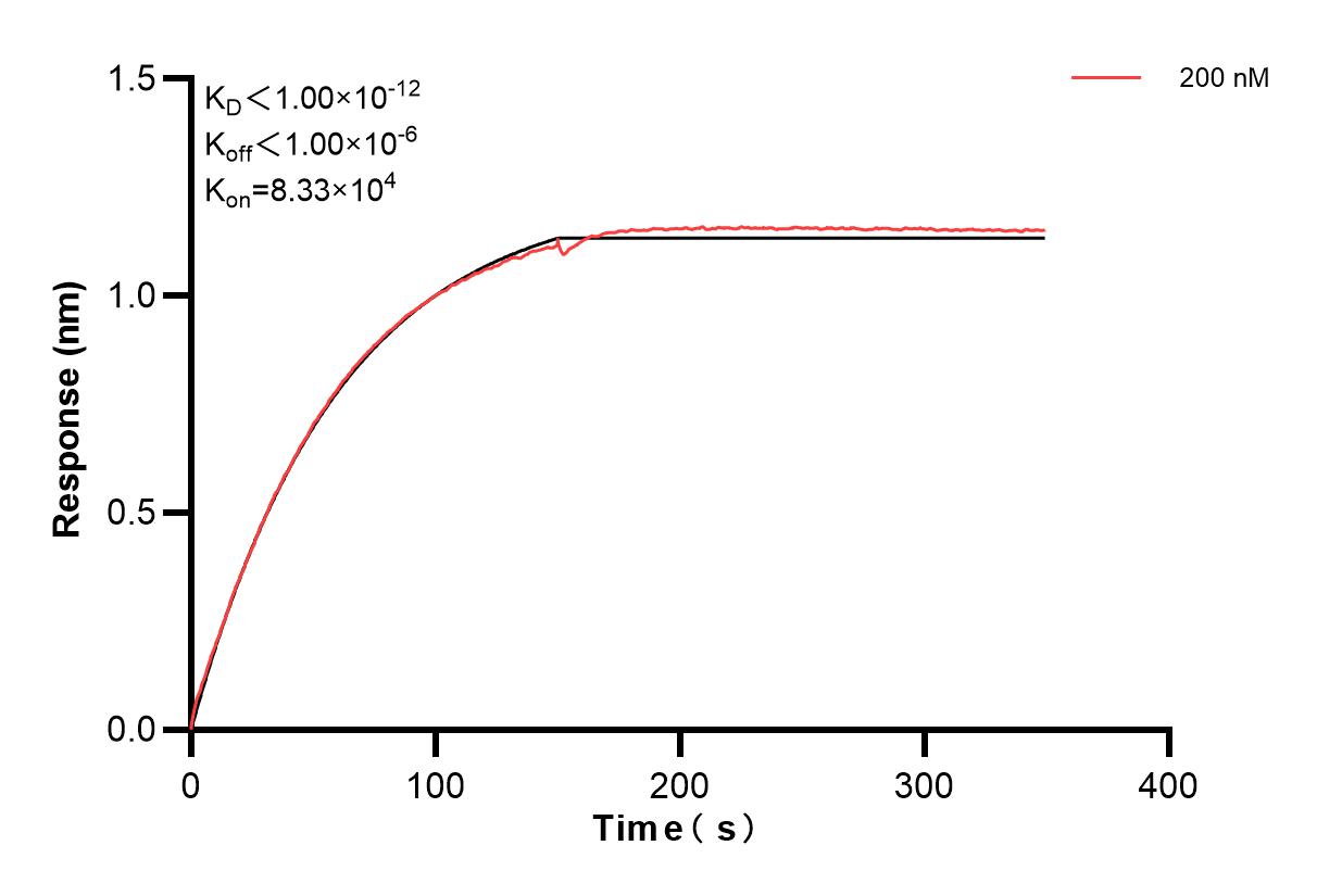 Affinity and Kinetic Characterization of 83635-6-PBS