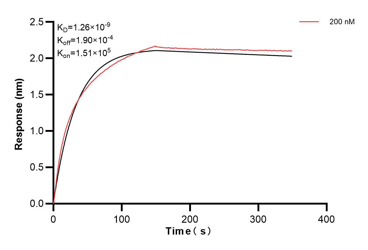 Affinity and Kinetic Characterization of 83638-2-PBS