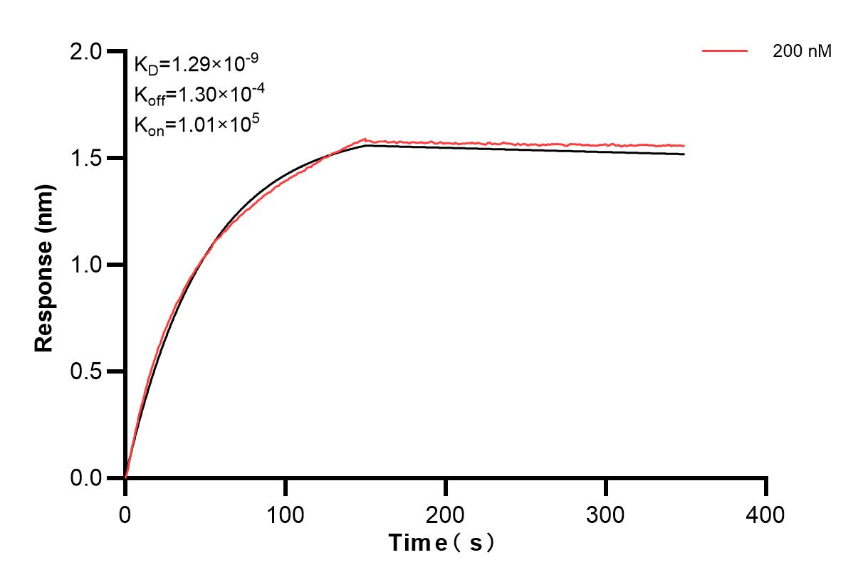 Affinity and Kinetic Characterization of 83638-5-PBS