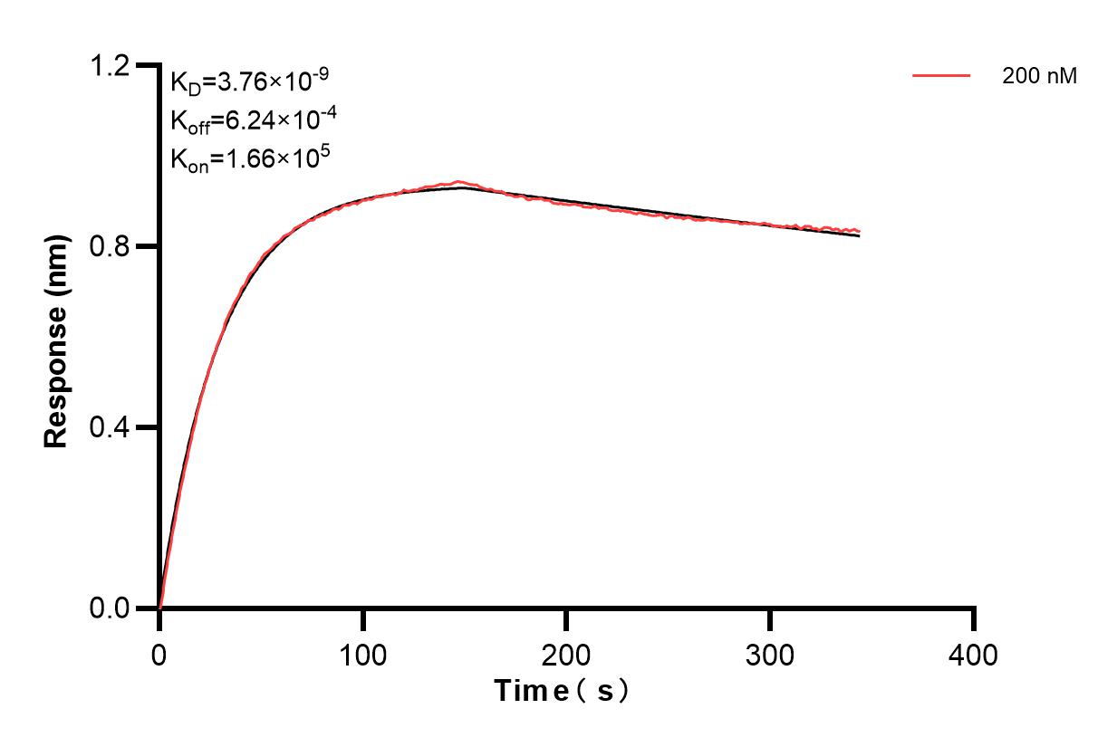 Affinity and Kinetic Characterization of 83639-2-PBS