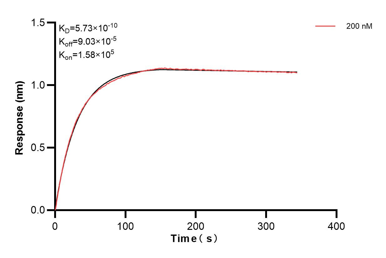Affinity and Kinetic Characterization of 83639-4-PBS