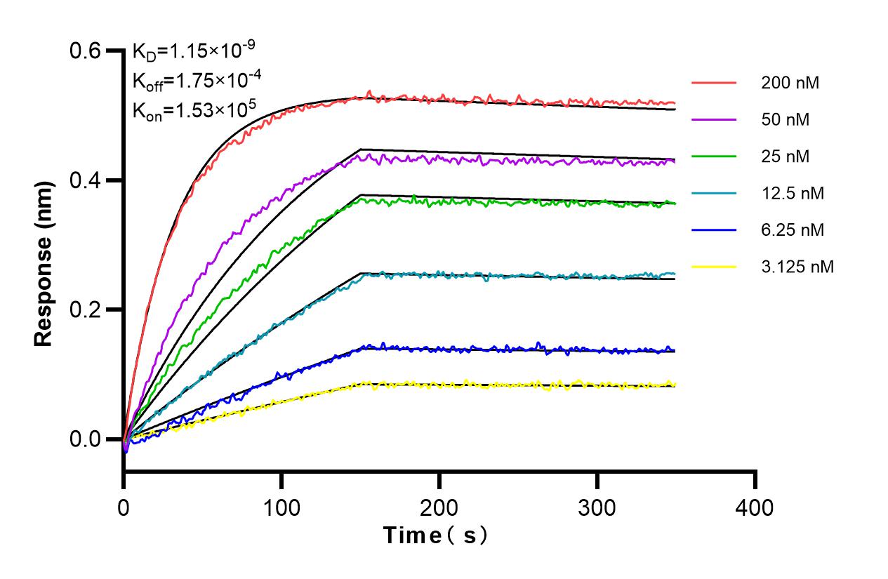 Affinity and Kinetic Characterization of 83644-1-RR