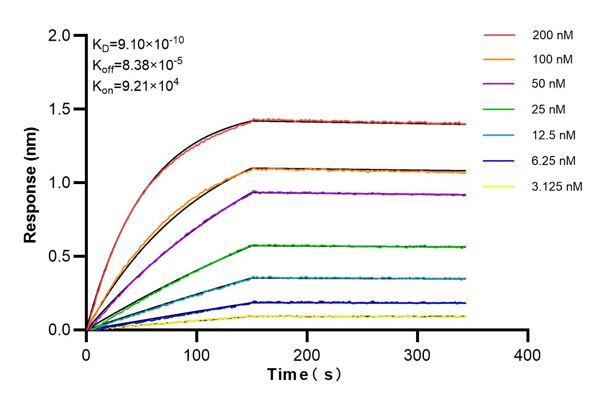 Affinity and Kinetic Characterization of 83653-2-PBS