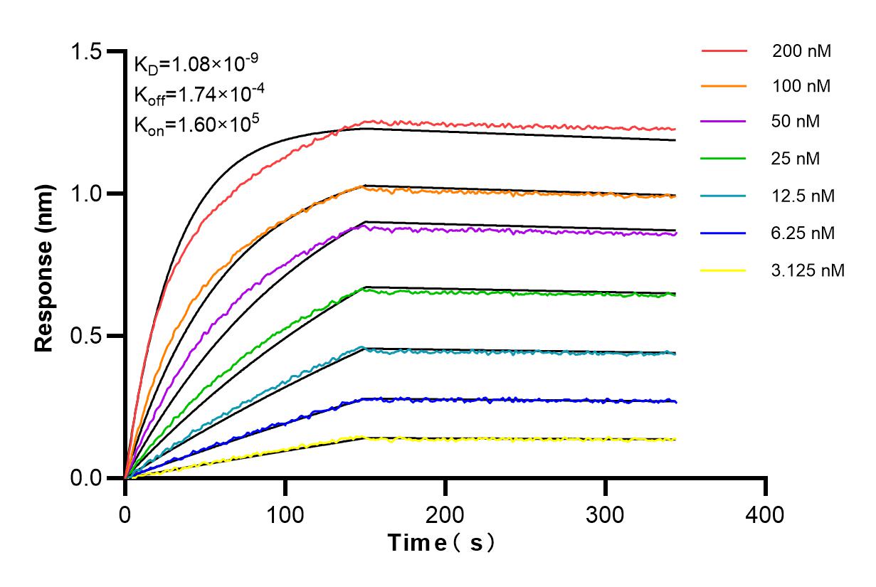 Affinity and Kinetic Characterization of 83653-4-PBS