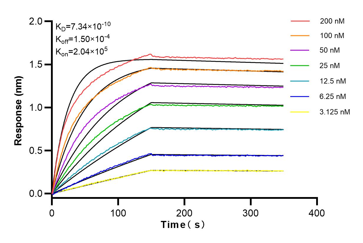 Affinity and Kinetic Characterization of 83653-5-RR