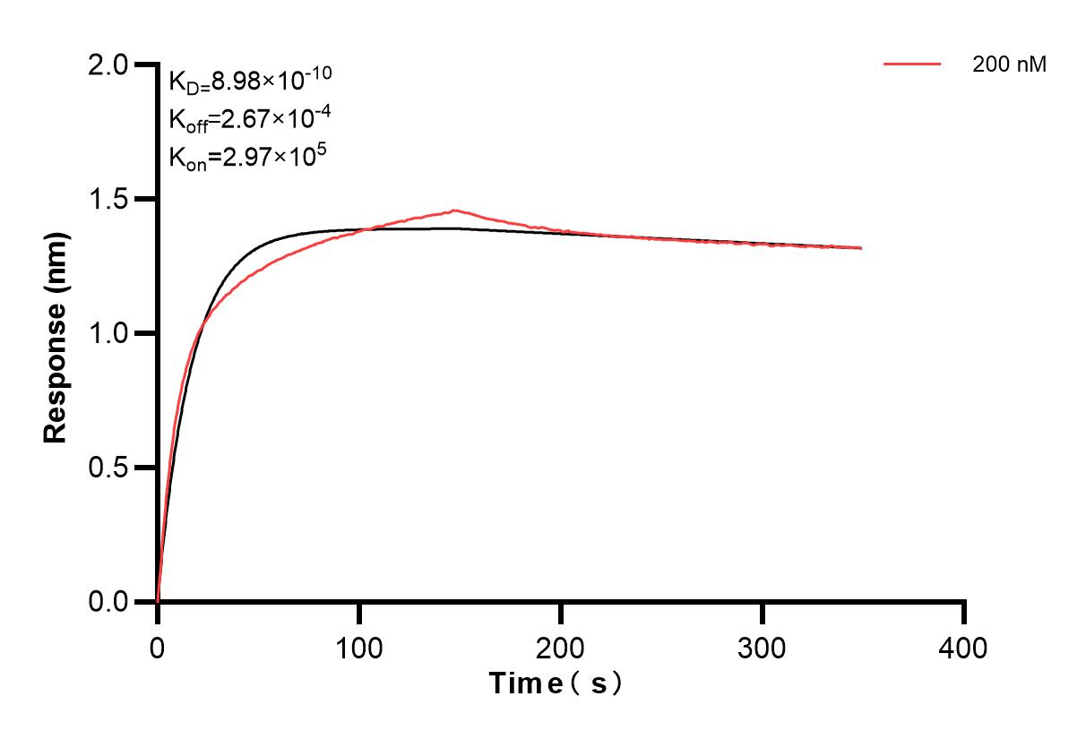 Affinity and Kinetic Characterization of 83654-1-PBS