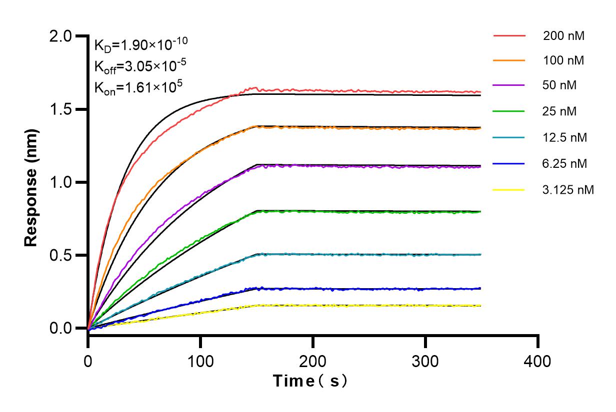 Affinity and Kinetic Characterization of 83663-2-RR