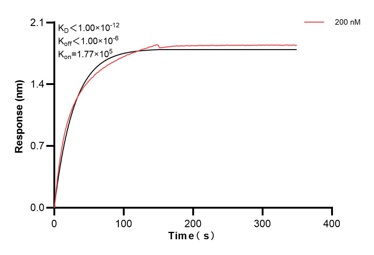 Affinity and Kinetic Characterization of 83677-1-PBS