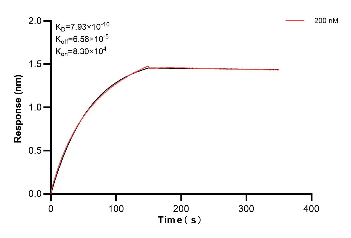 Affinity and Kinetic Characterization of 83677-3-PBS