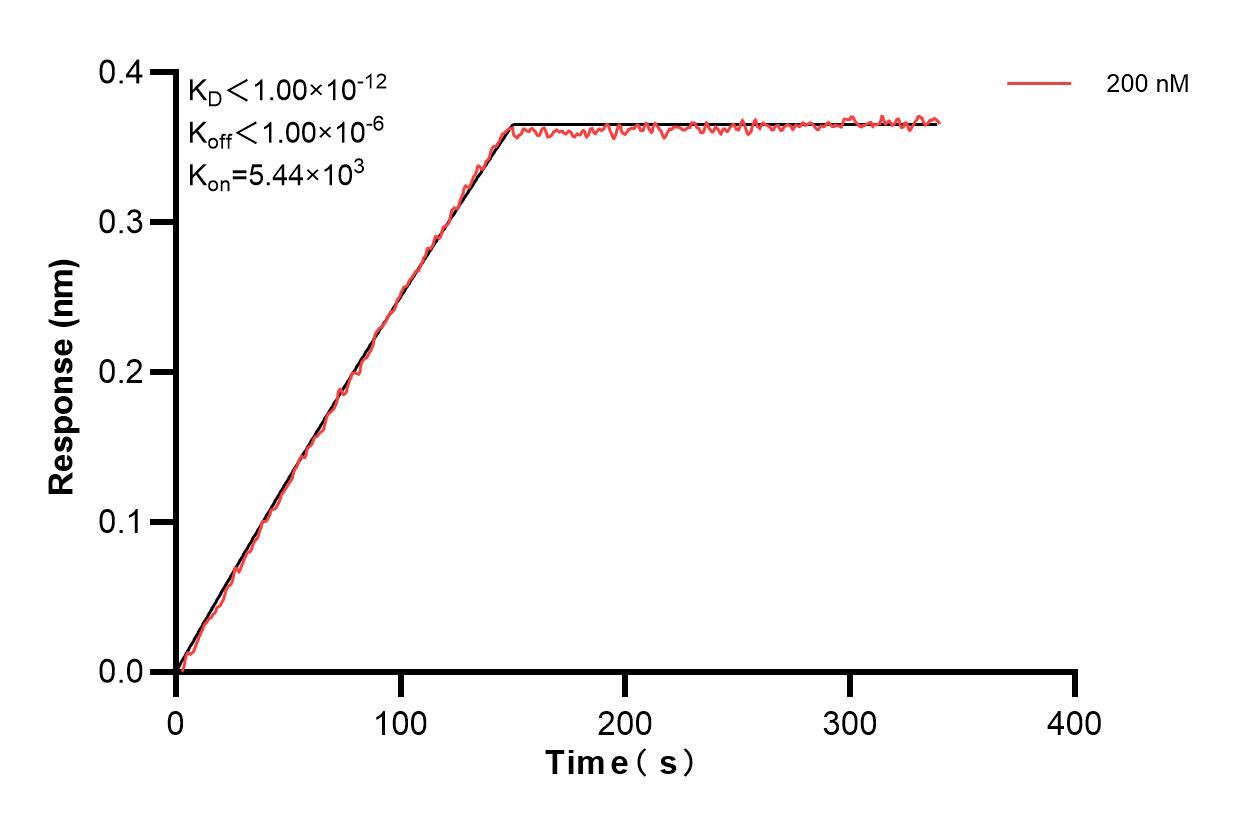 Affinity and Kinetic Characterization of 83686-2-PBS