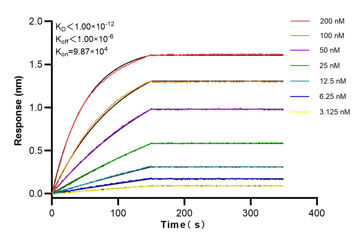 Affinity and Kinetic Characterization of 83687-4-RR