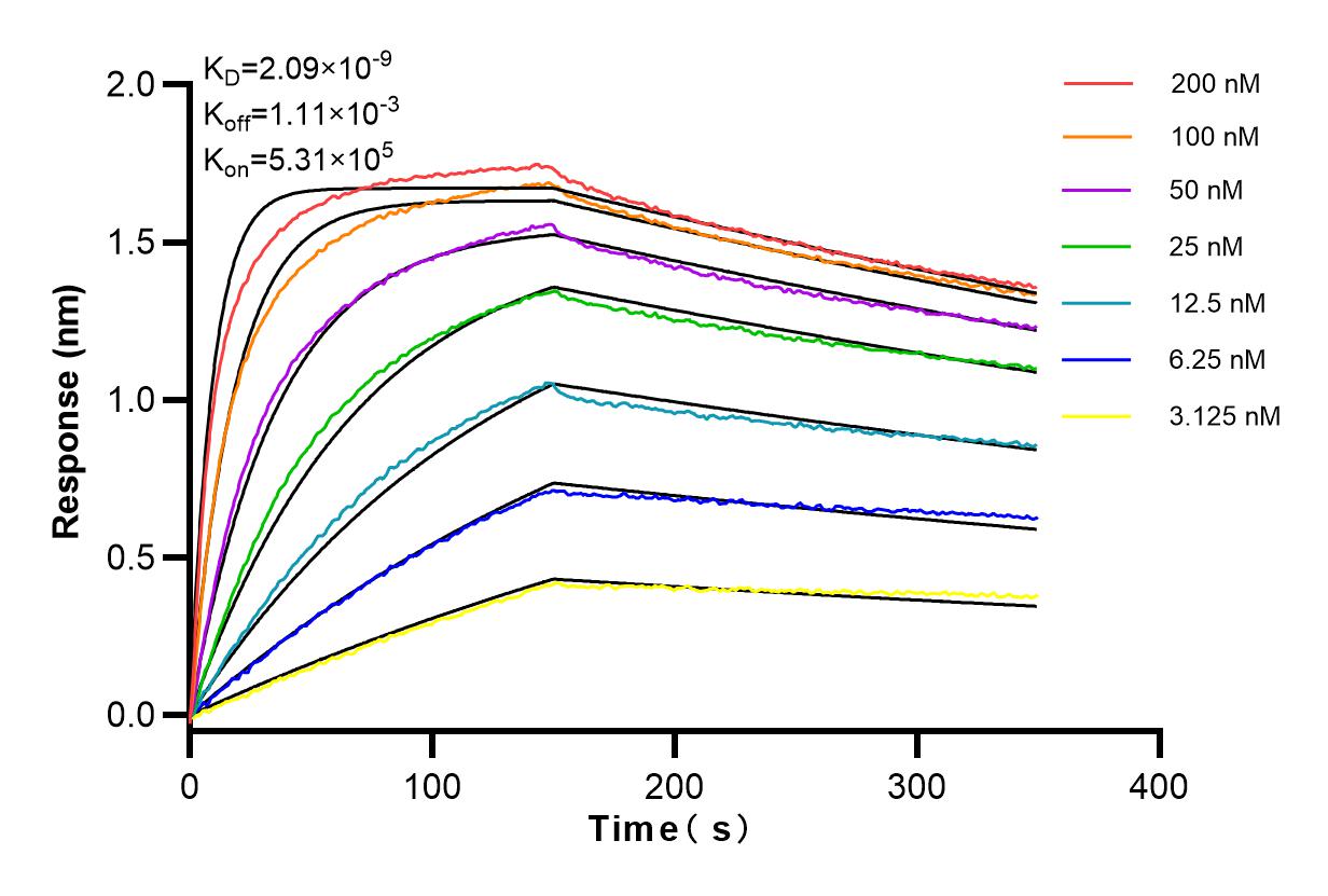 Affinity and Kinetic Characterization of 83688-4-RR