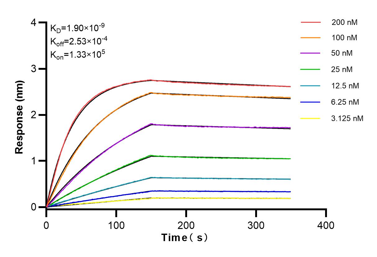 Affinity and Kinetic Characterization of 83690-4-RR