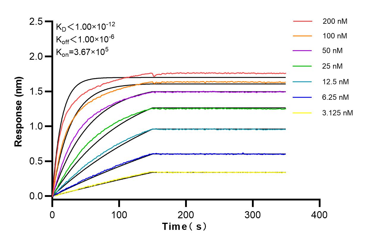 Affinity and Kinetic Characterization of 83698-4-RR