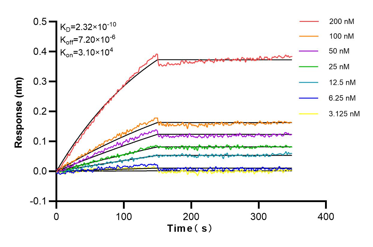 Affinity and Kinetic Characterization of 83708-2-RR