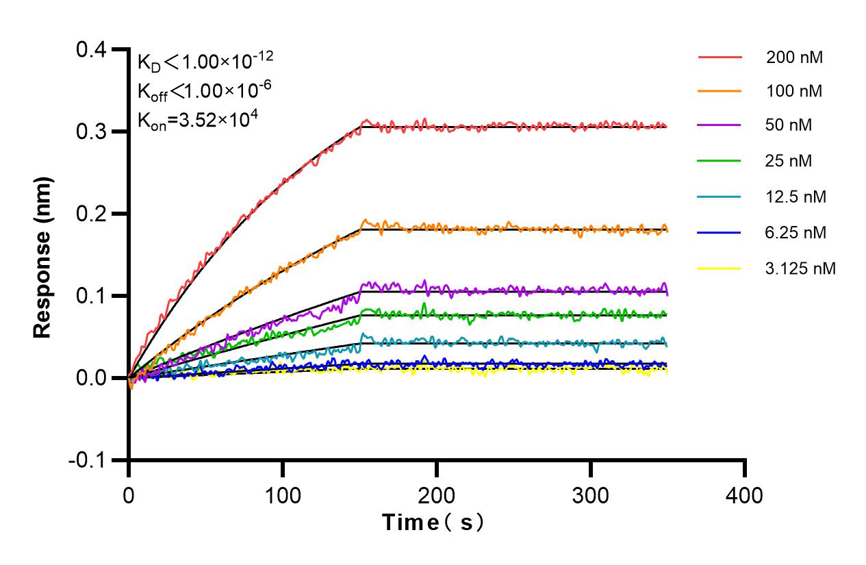 Affinity and Kinetic Characterization of 83709-1-RR