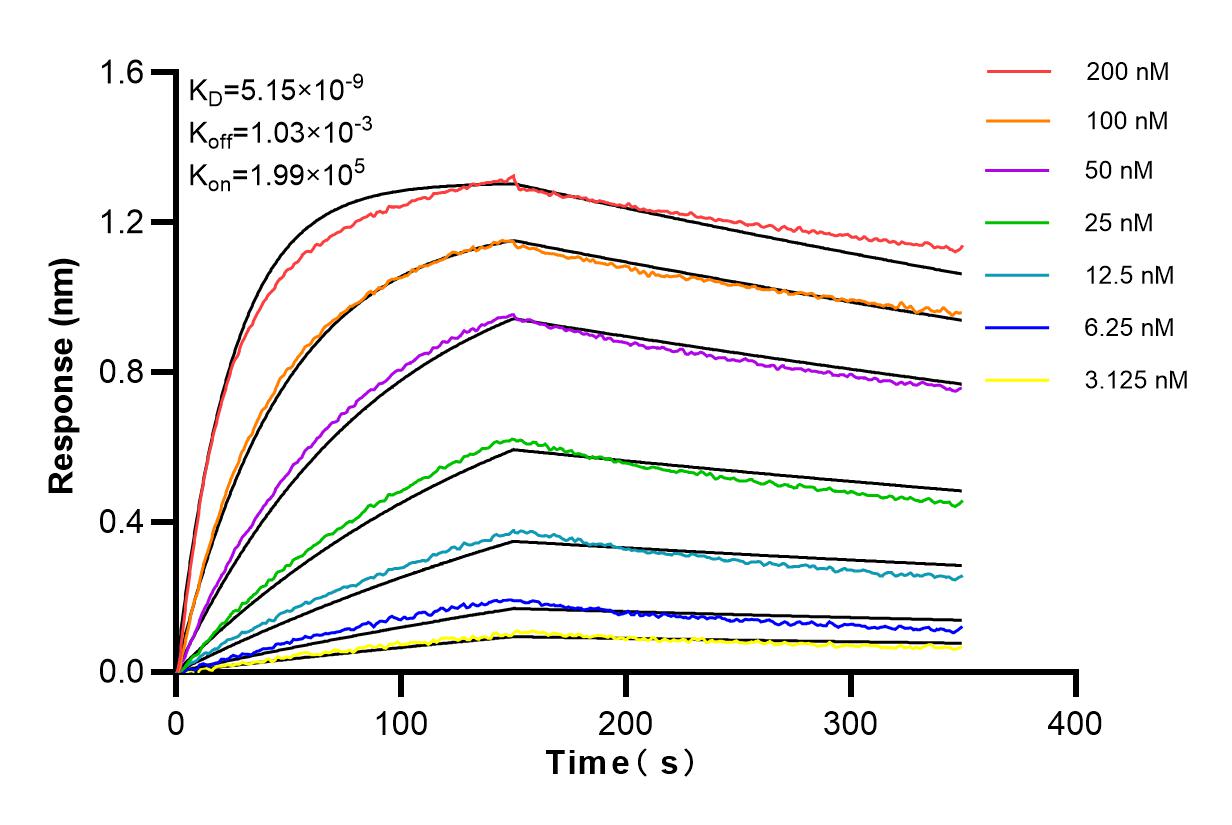 Affinity and Kinetic Characterization of 83718-5-RR