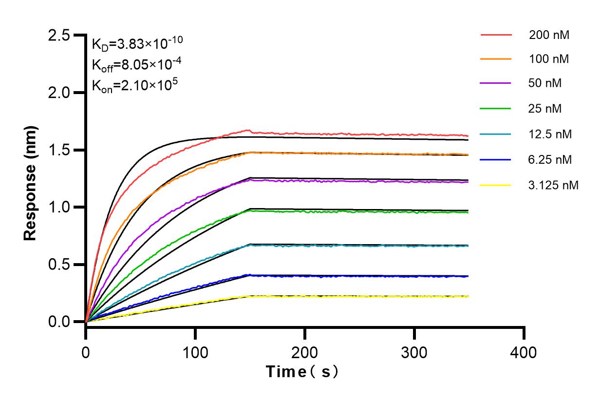 Affinity and Kinetic Characterization of 83719-1-RR