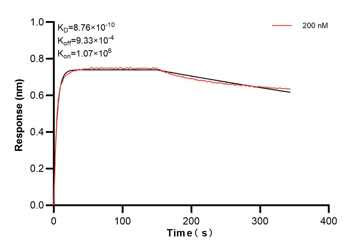 Affinity and Kinetic Characterization of 83721-1-PBS