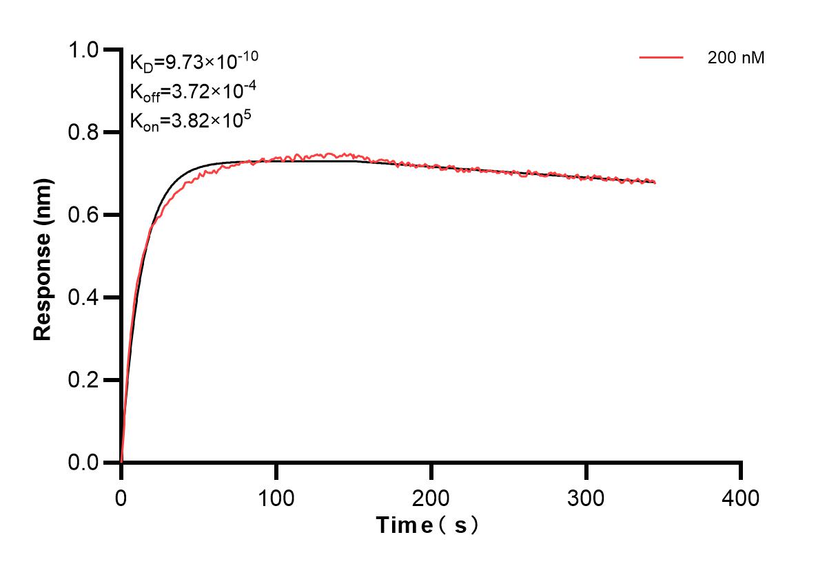 Affinity and Kinetic Characterization of 83721-2-PBS