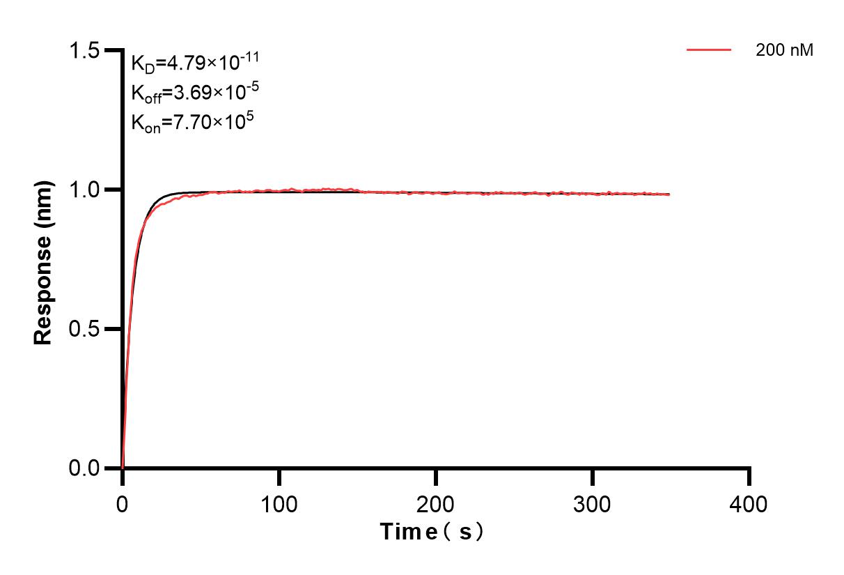 Affinity and Kinetic Characterization of 83721-6-PBS