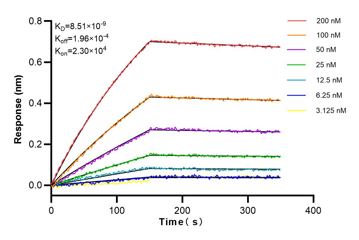 Affinity and Kinetic Characterization of 83721-7-RR