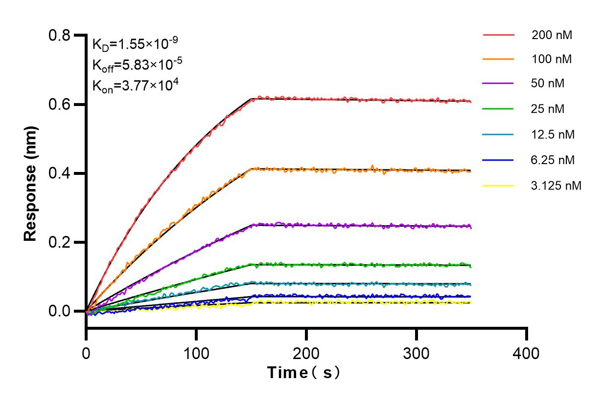 Affinity and Kinetic Characterization of 83725-5-RR