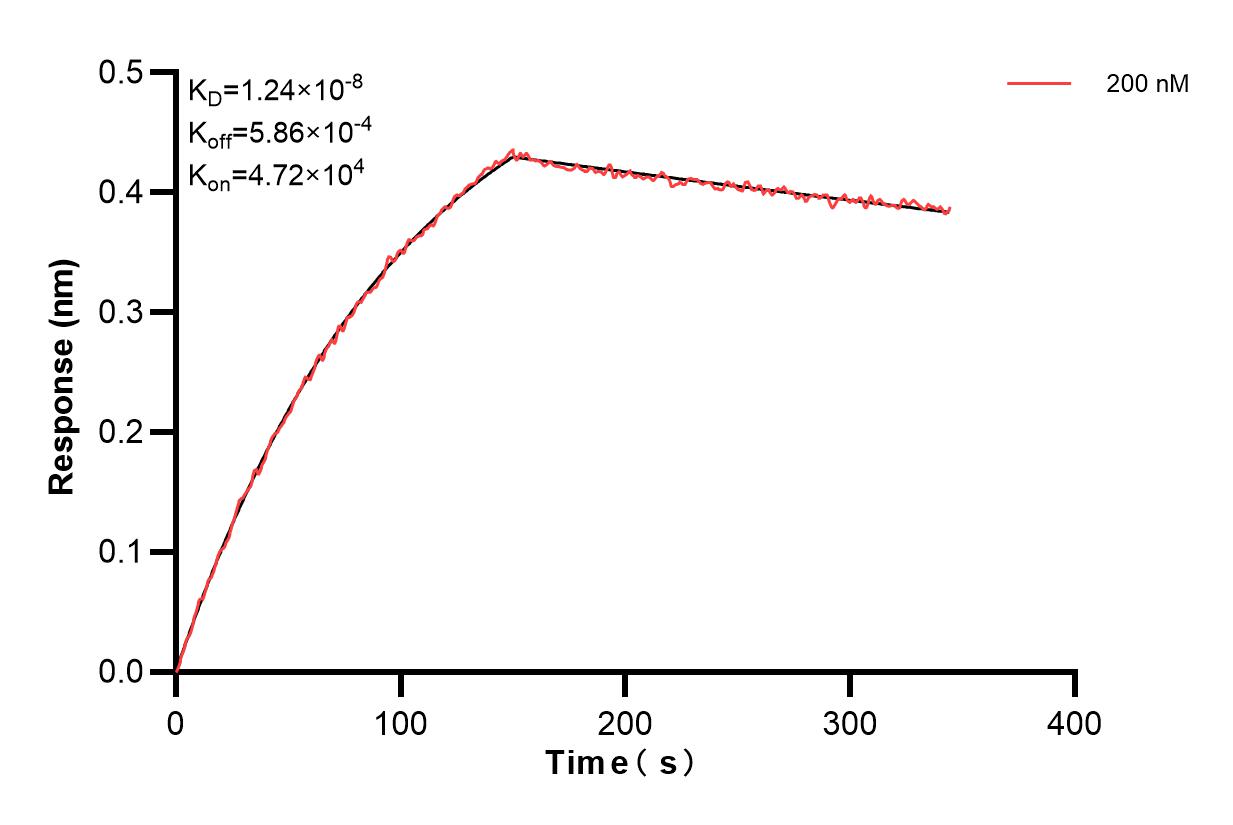 Affinity and Kinetic Characterization of 83729-1-PBS