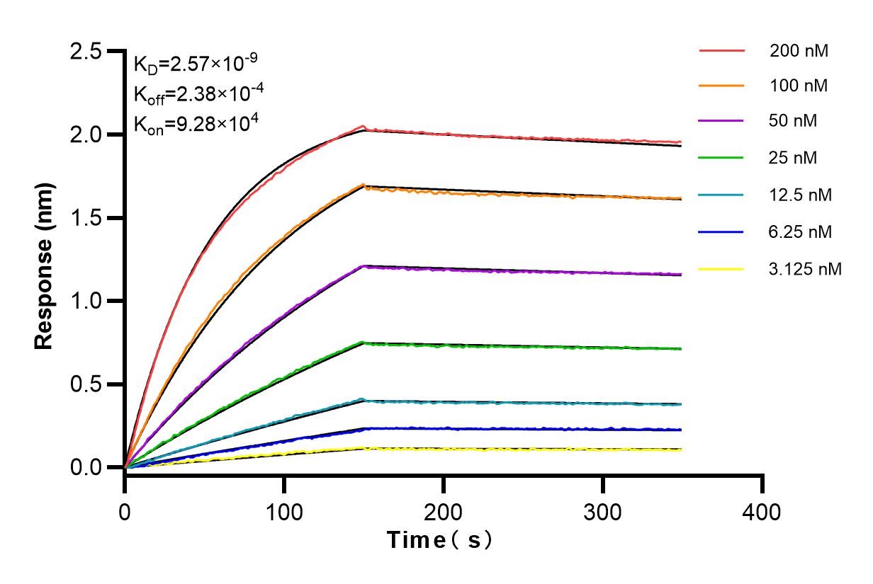 Affinity and Kinetic Characterization of 83732-2-RR