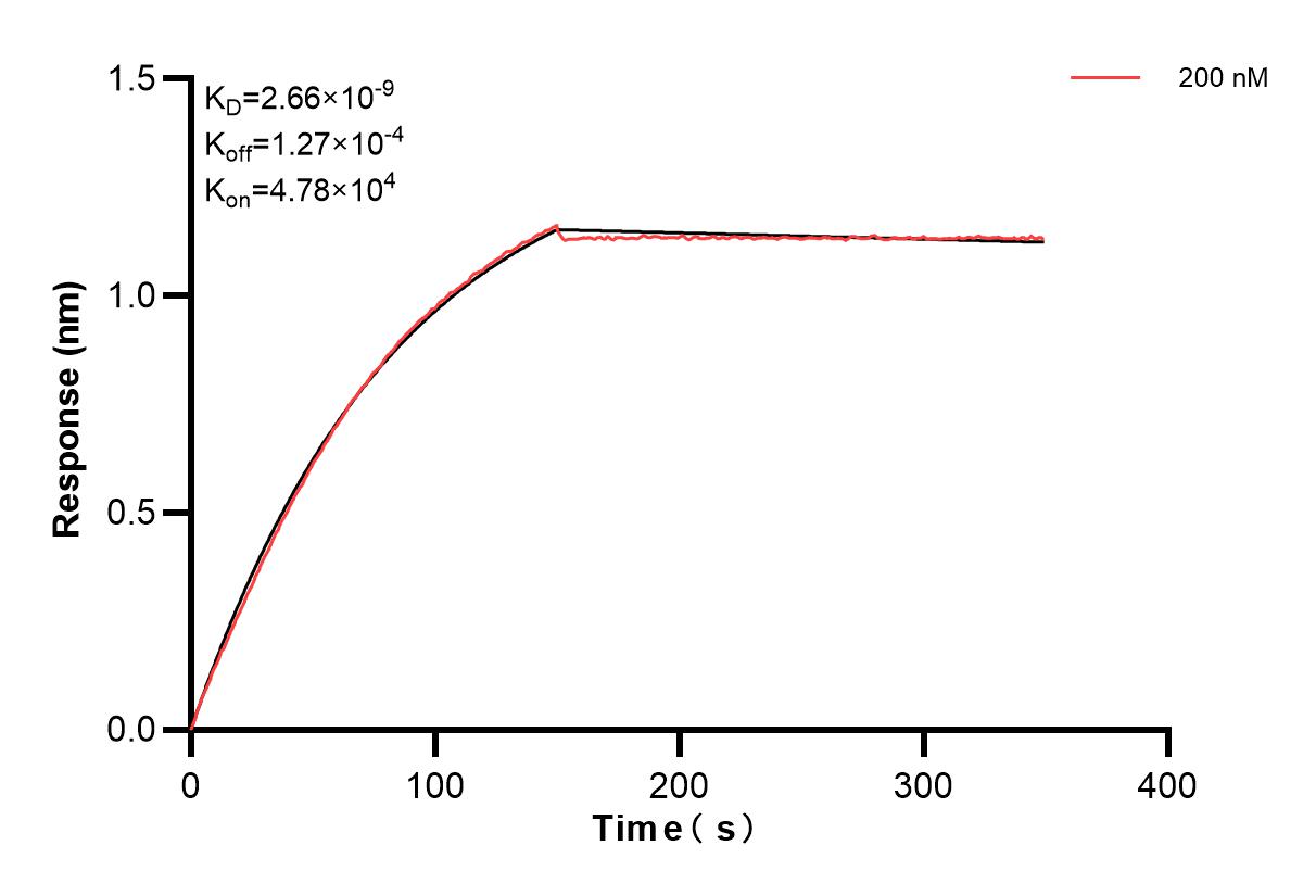 Affinity and Kinetic Characterization of 83734-3-PBS