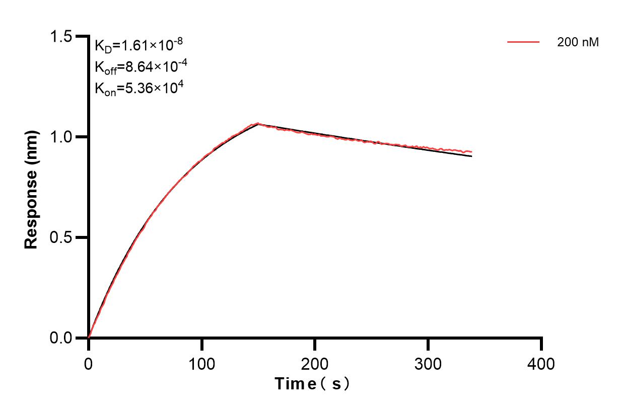 Affinity and Kinetic Characterization of 83734-4-PBS