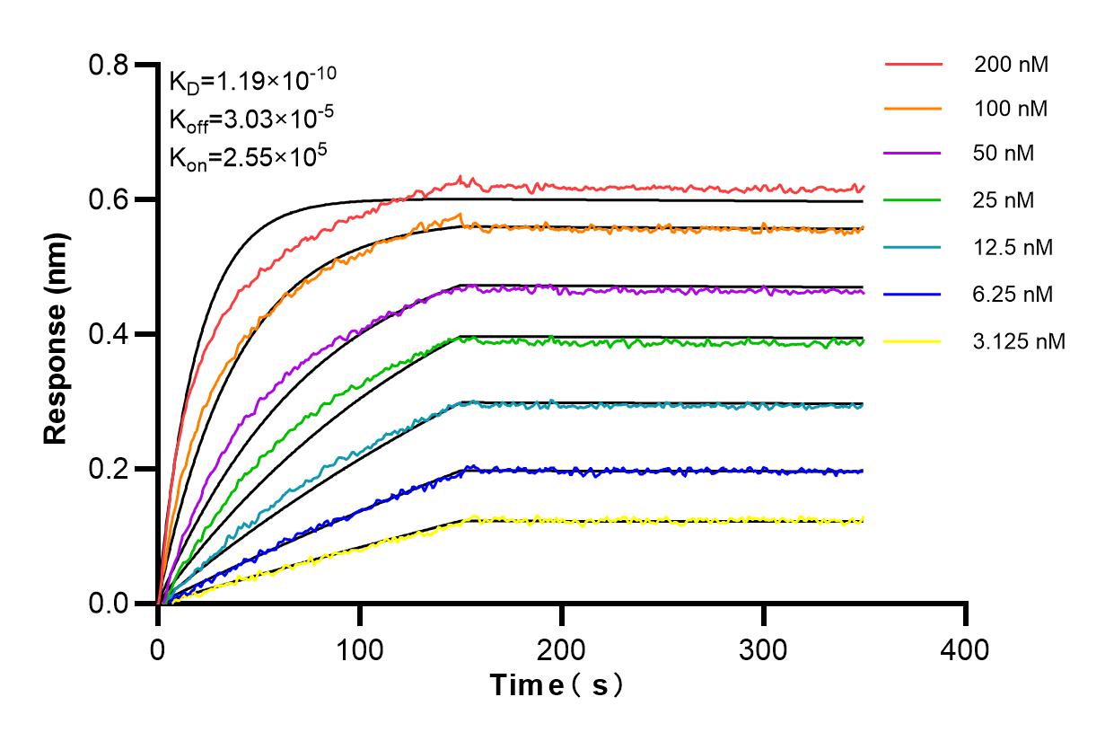 Affinity and Kinetic Characterization of 83735-4-RR