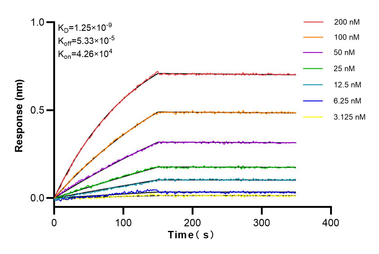 Affinity and Kinetic Characterization of 83740-4-RR