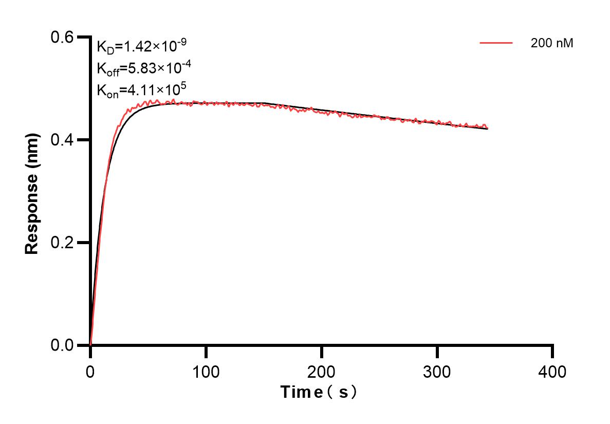 Affinity and Kinetic Characterization of 83747-2-PBS