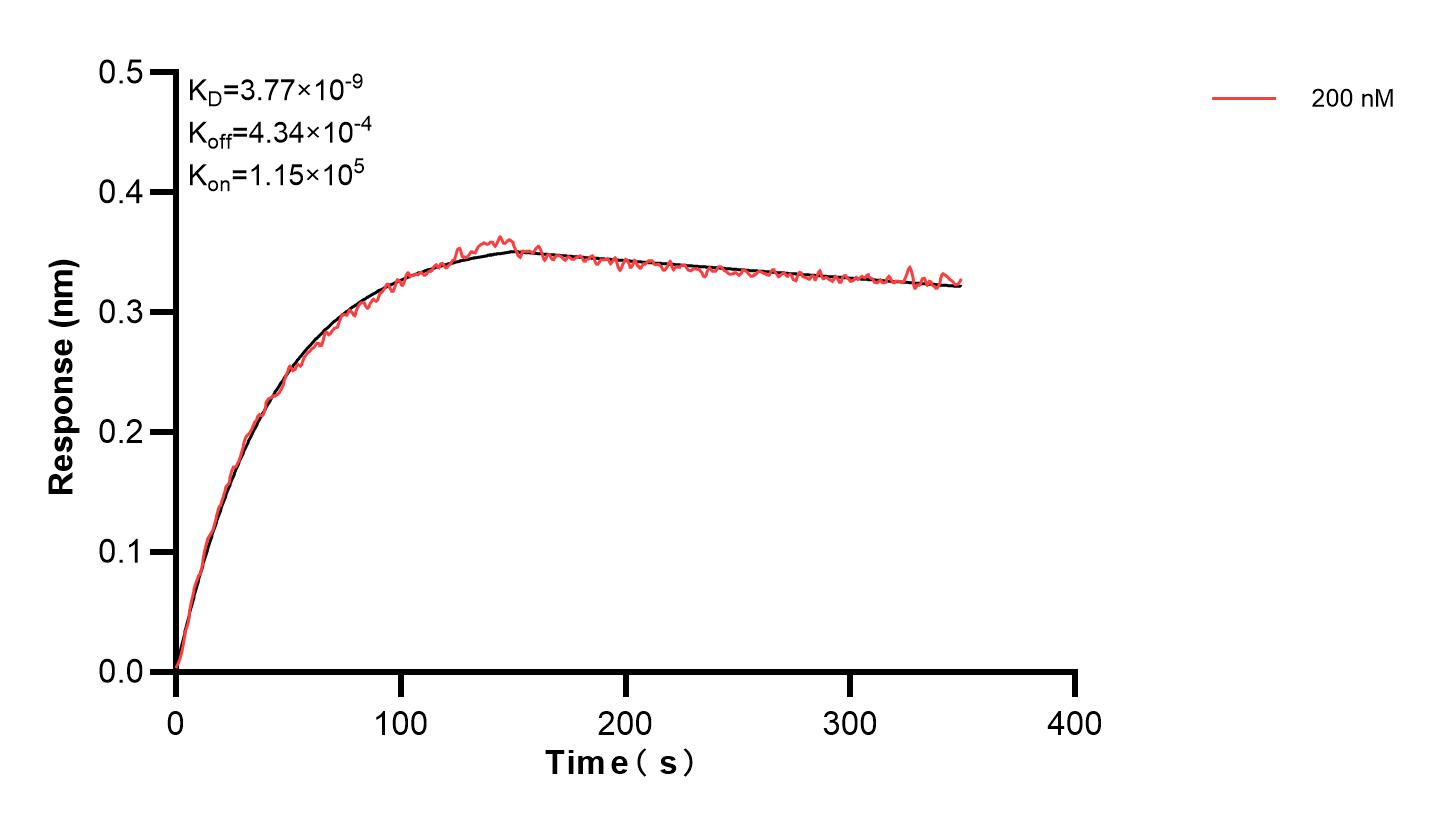 Affinity and Kinetic Characterization of 83747-3-PBS