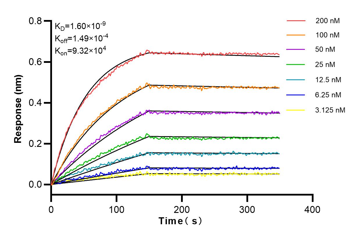 Affinity and Kinetic Characterization of 83747-5-RR