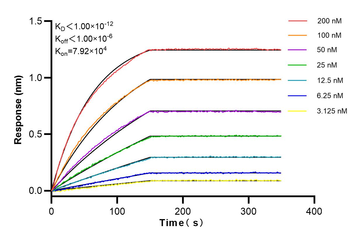 Affinity and Kinetic Characterization of 83751-6-RR