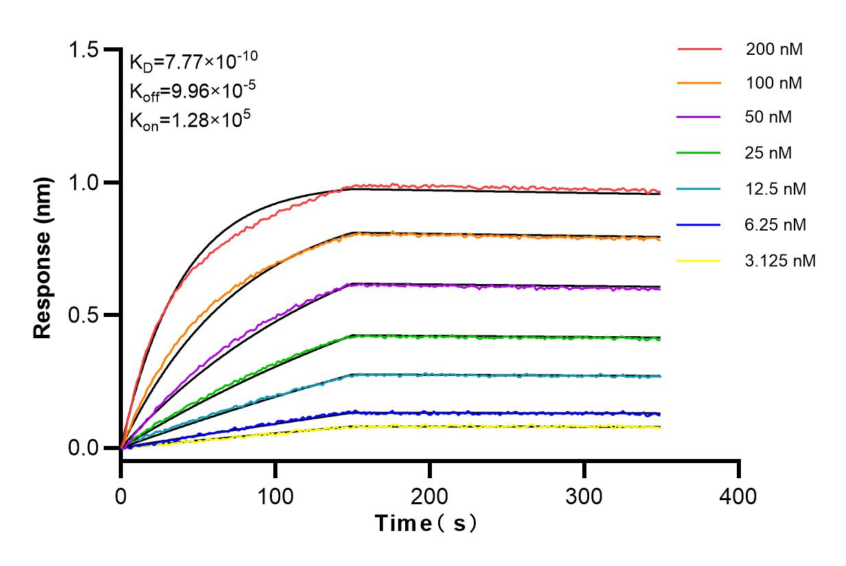 Affinity and Kinetic Characterization of 83752-3-RR