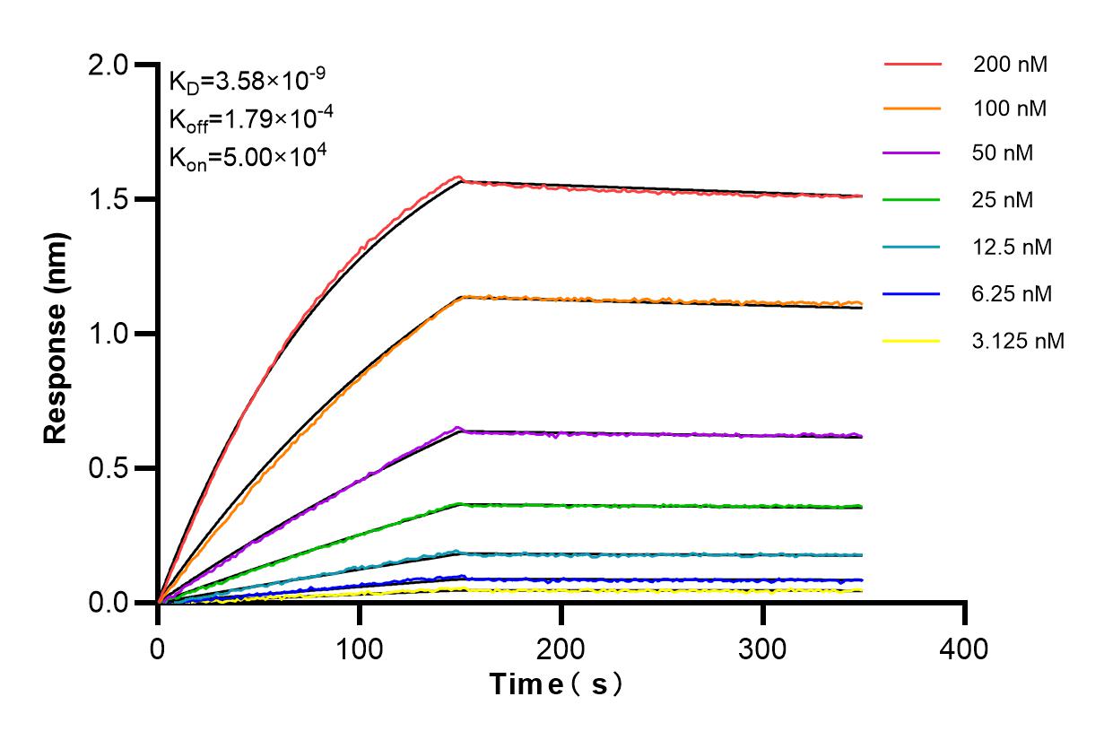 Affinity and Kinetic Characterization of 83754-6-RR