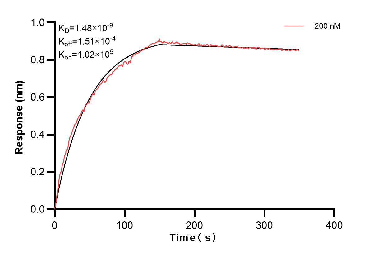 Affinity and Kinetic Characterization of 83760-1-PBS