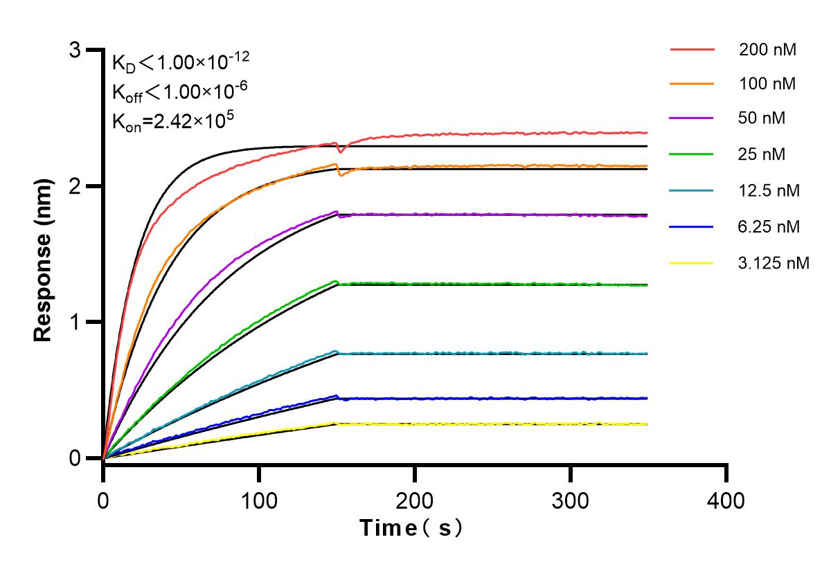 Affinity and Kinetic Characterization of 83761-5-RR