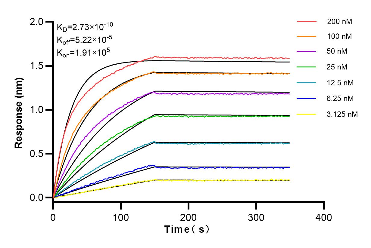 Affinity and Kinetic Characterization of 83766-2-RR