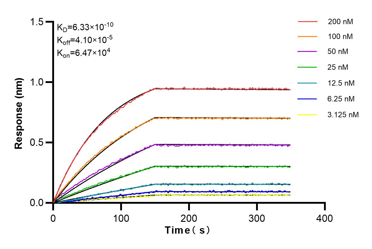 Affinity and Kinetic Characterization of 83766-6-RR