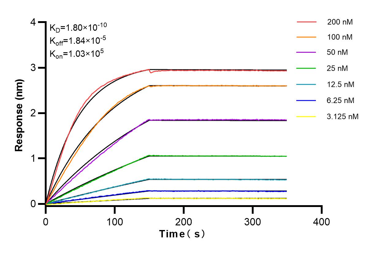 Affinity and Kinetic Characterization of 83772-6-RR